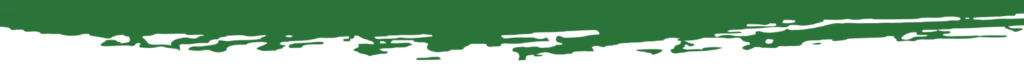 Divider Image (2)